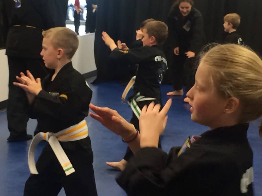 Juniors class at Shepherd-Warrior Martial Arts