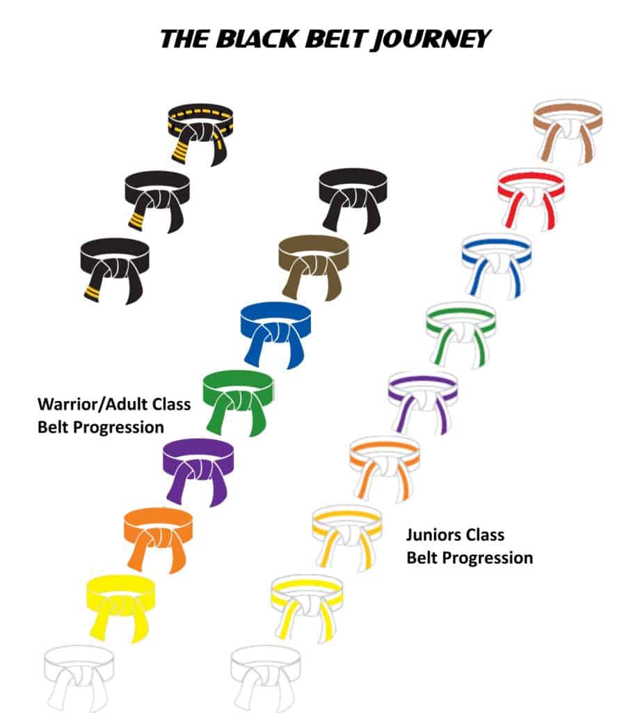 What is the Difference between a GrandMaster, Master, BlackBelt and Student?